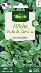 Mâche Verte de Cambrai